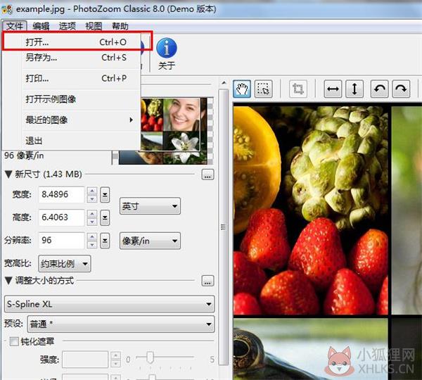 photozoom V8.0.6 最新版 photozoom V8.0.6 最新版