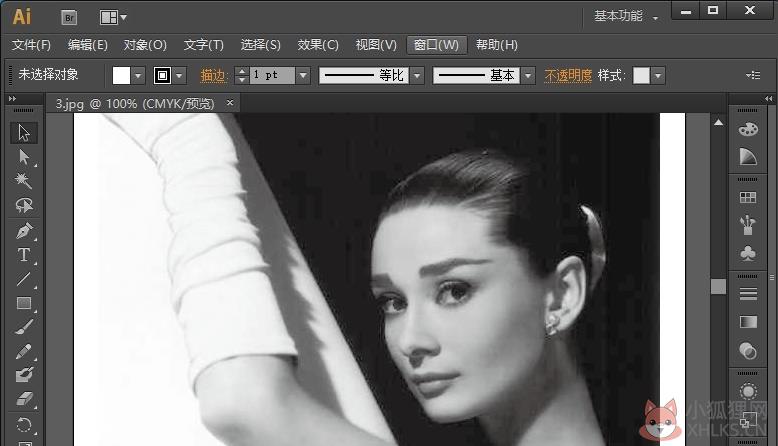 Adobe Illustrator CS6  V16.0.0.682 绿色优化版