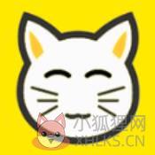 猫咪视频