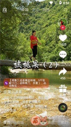 拍呱呱