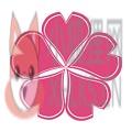 樱花动漫1.5.5.0官方正版