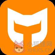 猫T