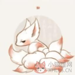 白狐影视免费下载