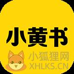 小黄书