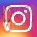 Instagram软件官方版