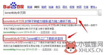 torrentkitty中文网地址？如何使用torrentkitty中文网