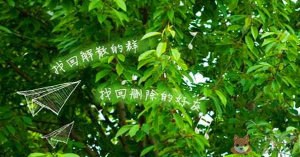 qq好友恢复系统截图