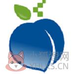老挑毛U盘启动工具 v9.5 绿色破解版