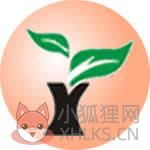 雨林木风一键重装系统 v9.0 纯净版（win7/10）