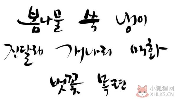 韩文字体效果图