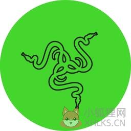 Razer Cortex雷游加速器 v9.5.21.1028 中文免费版