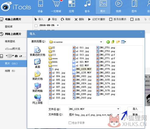 应用兔电脑版怎么导入照片
