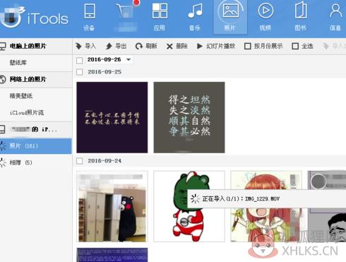 应用兔电脑版怎么导入照片