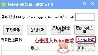 echo回声电脑版怎么下载音乐