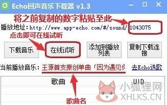 echo回声电脑版怎么下载音乐