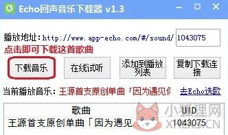 echo回声电脑版怎么下载音乐