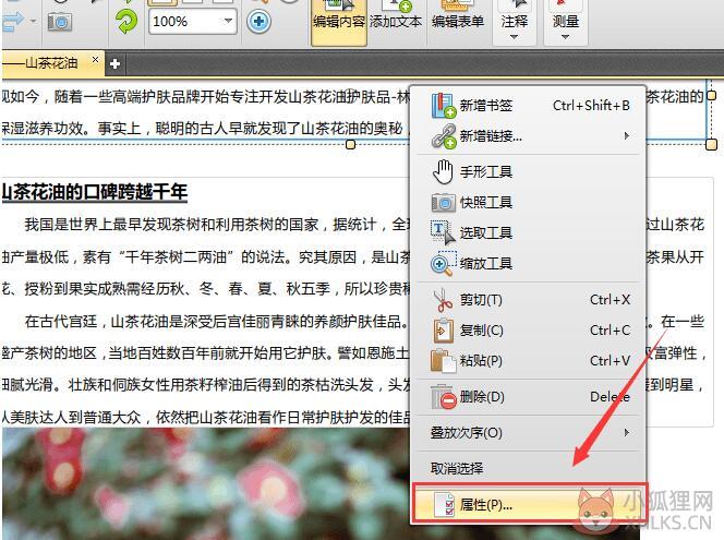 迅捷PDF编辑器免费版使用教程截图