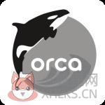 Orca软件