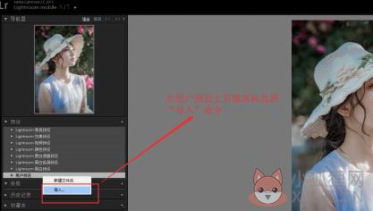 Lightroom CC2019中文最新版怎么导入并使用预设