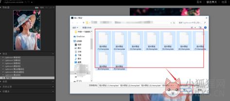 Lightroom CC2019中文最新版怎么导入并使用预设