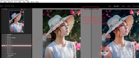 Lightroom CC2019中文最新版怎么导入并使用预设