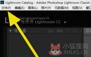 Lightroom CC2019中文最新版怎么导入照片