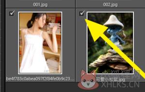 Lightroom CC2019中文最新版怎么导入照片