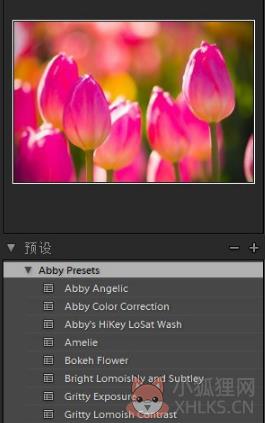 Adobe Photoshop Lightroom免费版常见问题截图