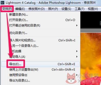 Adobe Photoshop Lightroom免费版常见问题截图