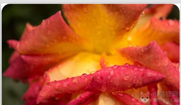 Adobe Photoshop Lightroom免费版常见问题截图