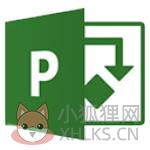 Microsoft Project2021破解版