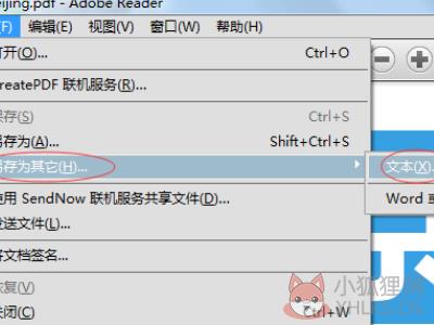 apabi reader如何转换为word