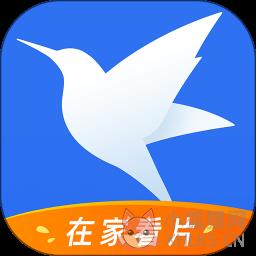 迅雷电脑版