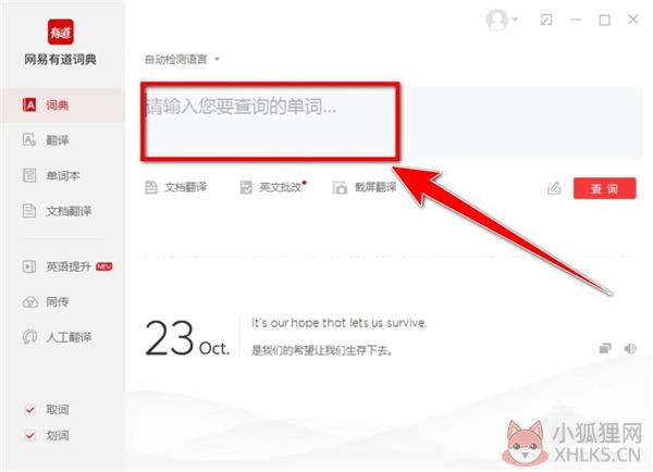 网易有道词典怎么看历史记录截图3