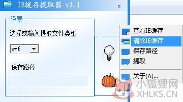IE缓存提取器