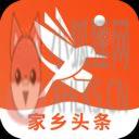 青鸟快讯