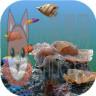 3D海底世界动态壁纸手机壁纸 v6.5 安卓版 3D海底世界动态壁纸手机壁纸 v6.5 安卓版