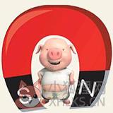 磁力猪 v1.0 （Store） 安卓版