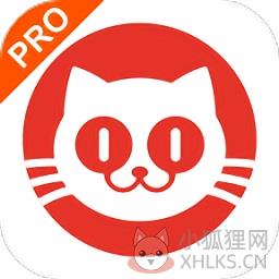 猫眼专业版实时票房 v6.5.3