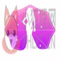 春雨直播官方版 v5.9.7 春雨直播官方版 v5.9.7