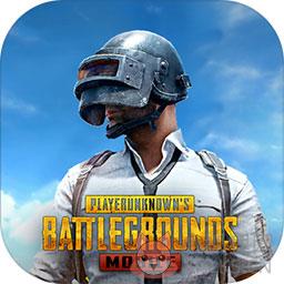 PUBG国际版 PUBG国际版