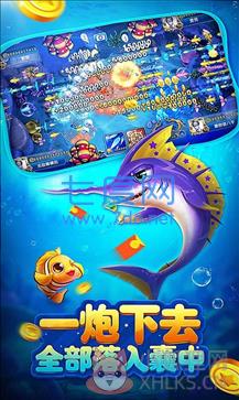 鱼丸游戏一夜暴富版