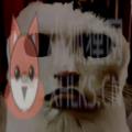 猫猫惊魂 猫猫惊魂