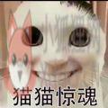 猫猫惊魂游戏 猫猫惊魂游戏