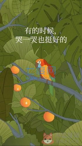 孤独的鸟儿最新版