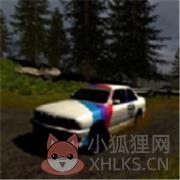 拉力赛大师2