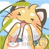 猫猫我最萌