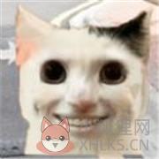 拯救小宠物 拯救小宠物