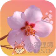 桃花开开