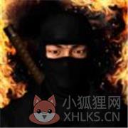 忍者的功夫贼厉害